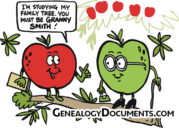 Cartoon of two animated apples on a tree branch, one red, and one green. The red says to the green, 'I'm studying my family tree. You must be Granny Smith!'
